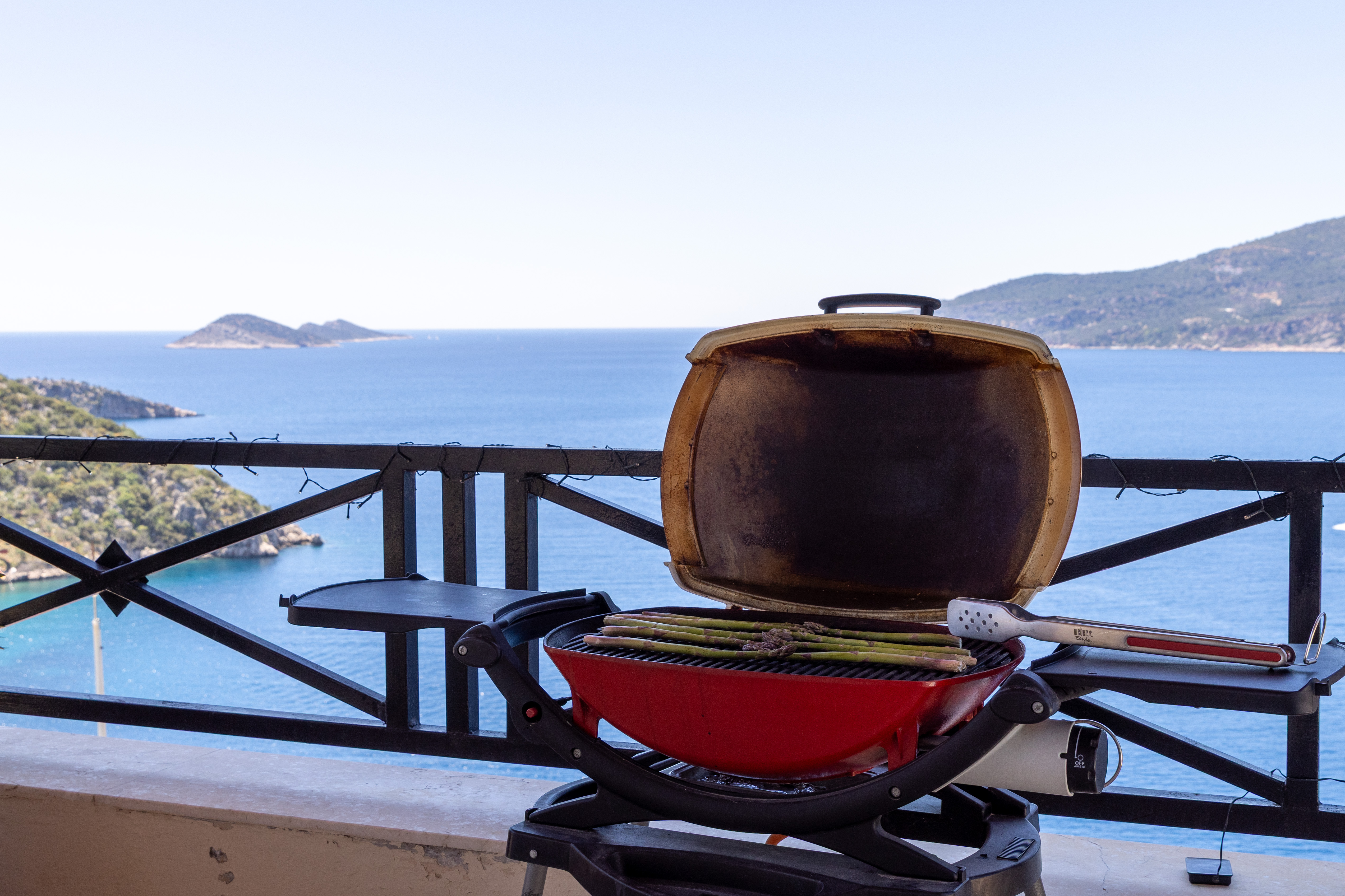 BBQ with a stunning view.